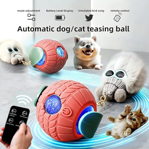 Nicbeypole Intelligent pet Toy Ball, Used for Interactive Chasing of Cats or Dogs, with Battery Display on the Screen, can be remotely Turned Off, Equipped with Bird Songs, self Entertainment (Rad)