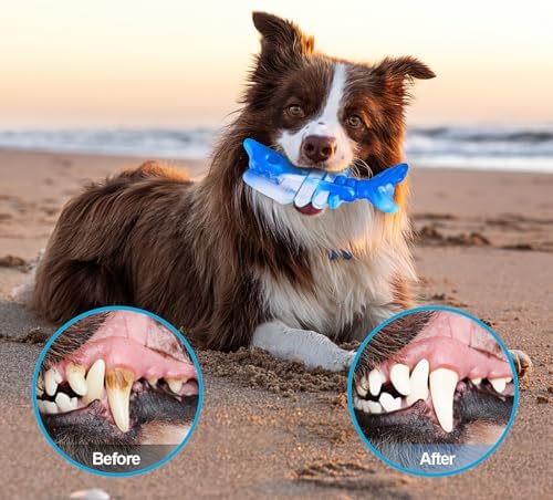 PETSTA Dog Chew Toys for Aggressive Chewers, Durable Toys for Large Dogs, Heavy Duty Indestructible Large Dog Toys, Tough Dog Toys for Medium/Large Dogs Breed