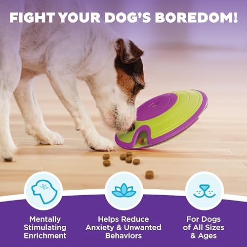 Outward Hound Nina Ottosson Dog Treat Maze Dog Toy, Tap & Flip, 7.5" | Level 2 Intermediate, Tap & Flip Game, Kibble or Treats, Easy Clean, No BPA, Interactive Enrichment, Dogs & Puppies