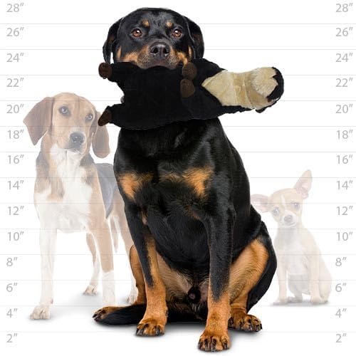 MIGHTY- Safari Meercat - Squeaker-Multiple Layers. Made Durable, Strong & Tough. Interactive Play Dog Toy (Tug, Toss & Fetch). Machine Washable & Floats
