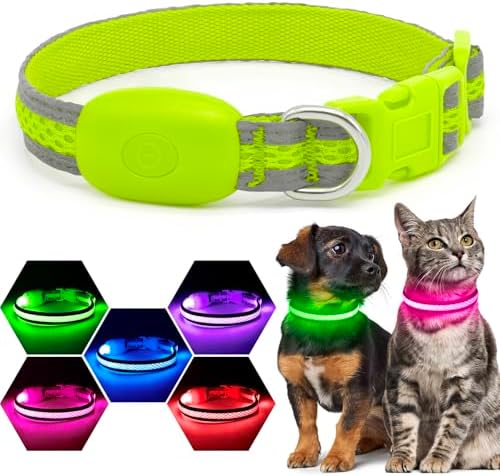 Flashseen LED Dog Collar, Light Up Dog Collar USB Rechargeable, Green, XS