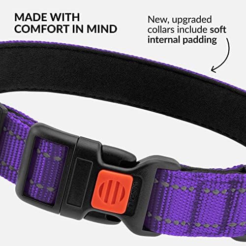 Reflective Dog Collar, Quick-Release Buckle (Purple, 18-26 Inch)