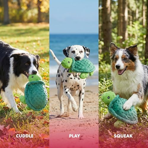 petlou Sqeaky Plush Durable Dog Toys with Multi-Colour,Dotty Friends for Dog (12 Inch Dotty Friends Turtle)