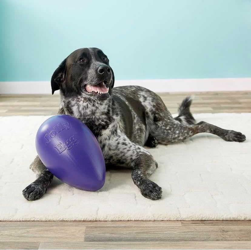 Jolly Pets Jolly Egg Dog Toy, 8 Inches/Medium, Red (JE08 RD) (Pack of 2)