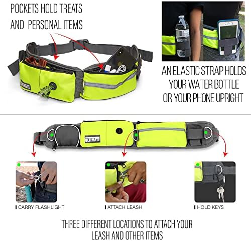 TAKSIN The Ultimate Hands Free Two Dogs Double Leash System for Walking Running Hiking Training, Reflective Bungee Leash, Treat Holder, Poop Bag Dispenser for Small Medium Large Dogs (Yellow Pack)