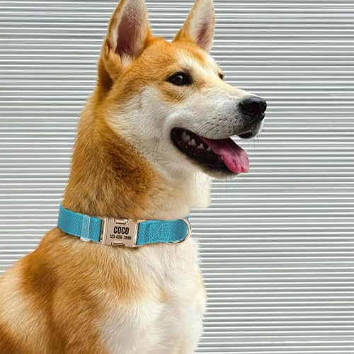 Personalized Reflective Nylon Dog Collar with Name, Blue