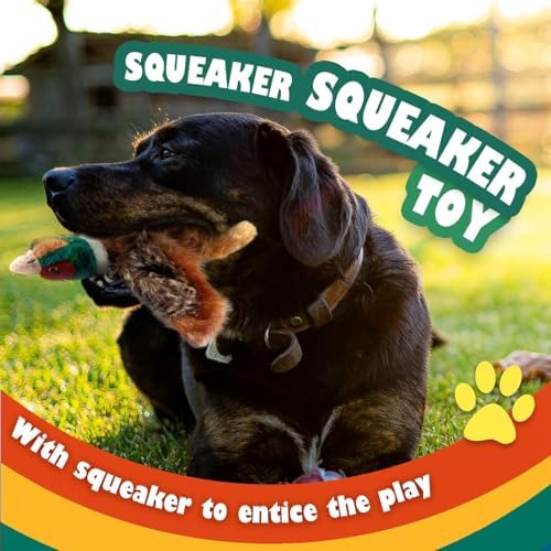 ALL FOR PAWS Squeaky Doy Toy, Pheasant Dog Toy for Small Medium Breed, Puppy Fetch Toy with Squeaker, Plush Chew Dog Toy, 9.8 x 9.8 x 2 inches, Classic-Pheasant S