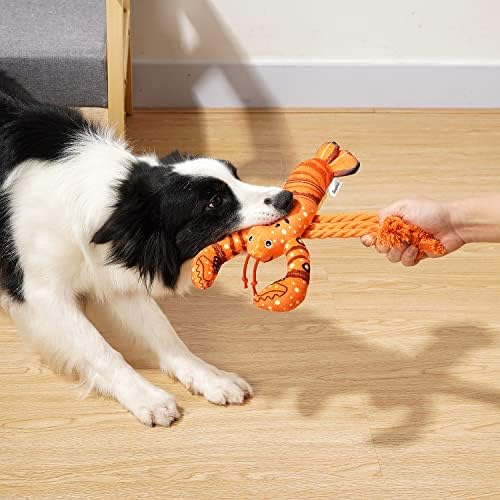 Sedioso Dog Toys, Dog Plush Toy for Large Breed, Cute Squeaky Dogs Toy with Crinkle Paper, Puppy Chew Toy for Small, Middle, Large Breed (Lobster)