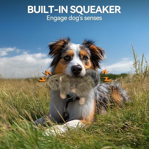 ALL FOR PAWS Interactive Dog Squirrel Plush Squeaky Toy - Perfect Puppy Enrichment Toy, Large