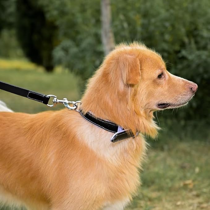 Leather Dog Collar for Small Medium Large Dog - Soft Airtag Puppy Collars, Classic Heavy Duty Dog Collar Rust Proof Metal Buckle Collar, (Lavendar, XL) Neck 21, 22,23,24, 25 inches