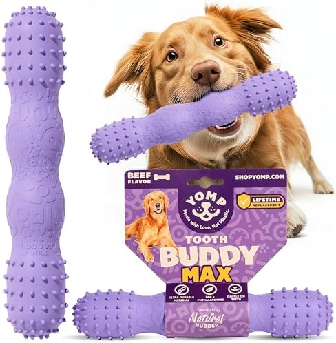 Yomp ToothBuddy MAX Dog Dental Chew Toy – Teething and Chewing Toy for Soft and Medium Chewers – Pet-Safe, Non-Toxic, All-Natural Rubber Dog Bone Toy