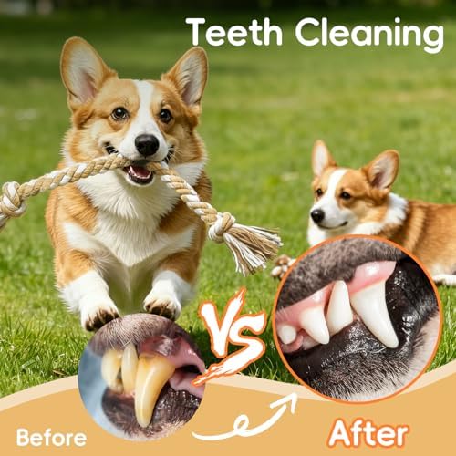 wodoca [4 Pack] Dog Rope Toys, Puppy Teething Duty Cotton Knot Chew Rope for Small Medium Dogs, Interactive Tug of War Dog Toys for Boredom, Teeth Cleaning