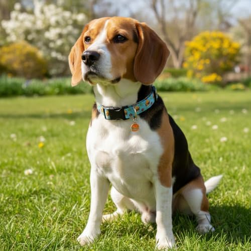 Cute Dog Collar, Blue Dog Collar with Burger Pattern and Cute Charm, Puppy Collar with Quick Release Buckle and Durable Fabric, Suitable for Small Dogs