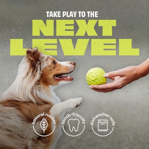 Benebone Natural Rubber Dog Ball, 1 Pack | Natural Rubber, Extra Bouncy, Tooth-Friendly, Great for Fetch, Boredom Buster, Dishwasher Safe, Long-Lasting