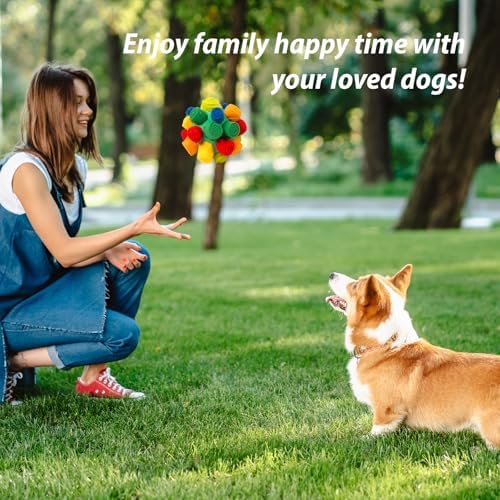 PAWISE Snuffle Ball for Dogs, Sniffle Treat Puzzle Toy, Dog Snuffle Balls, Snuffle Toy, Machine Washable, Foraging Sniffle Treat Ball for Puppies and Boredom Relief (Red Rainbow) (Medium)