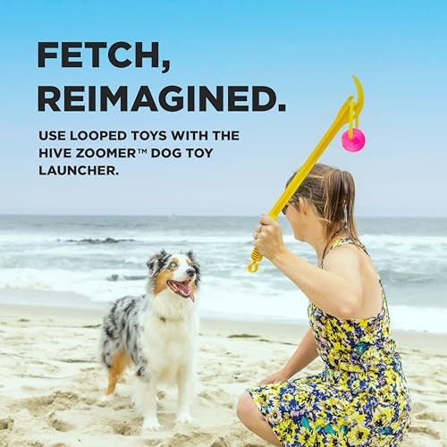 Project Hive Dog Ball | Set of 3 Looped Dog Balls | Interactive Dog Toys Compatible with Hive Zoomer Dog Toy Thrower | Perfect for Fetch and Tug Play | Pink, Green, Blue