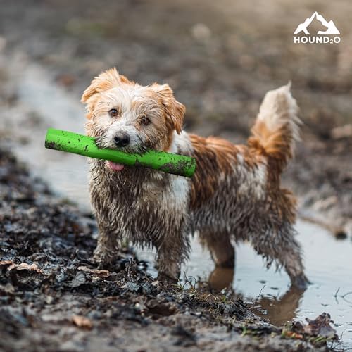 Playology Hound2O Fetch Stick Dog Toy - Outdoor Dog Toy - Green