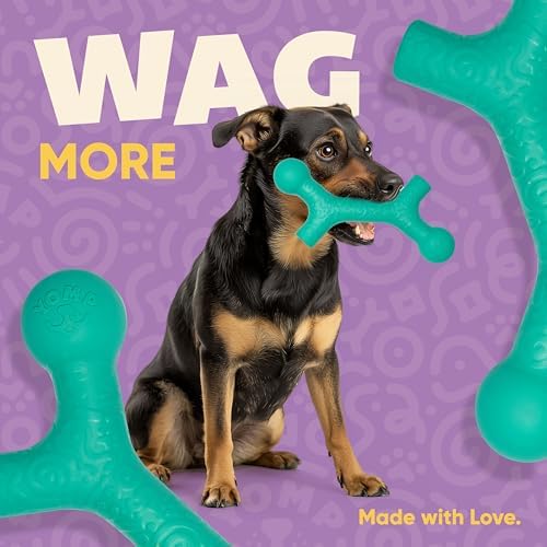 Yomp BallBone MAX: All-Natural Rubber Dog Toy, Nontoxic, Safe for Pet Play, Teal Color, Dishwasher and Freezer Safe for Teething Relief and Easy Clean up