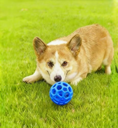2PCS pet Bell Ball Toy,Suitable for Dogs, Cats, and Other Animals. Safe and Durable, bite-Resistant Design, Interactive Toy, Promotes Activity, an Essential Daily Plaything for Pets.