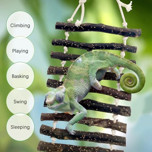 BNOSDM Reptile Bridge Wooden Ladder Climbing Accessories Hanging Swing