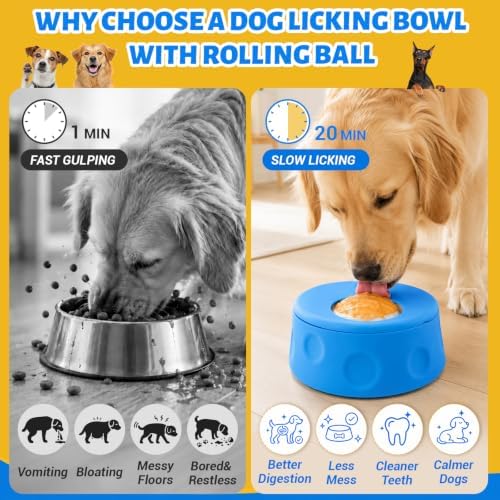 Slow Feed Dog Bowl with Rolling Ball, Dog Lick Bowl for Medium & Large Dog