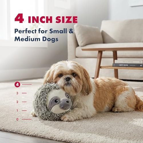 petlou Squeak Toys for Aggressive Chewers Small Medium Breed Chew Toys,Fetch Ball Indoor Ball Toys,Sqeaky Dog Toys (4" EZ Squeaky Sloth)