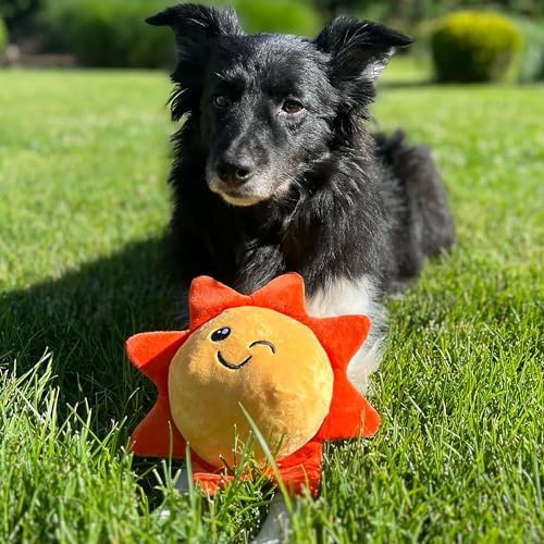 SnugArooz: Sweet Sunshine - 2-in-1 Dog Toy, Ball Hidden in The Plush, Soft Sun Character, Squeak-Crinkle, Pet Multi-Sensory Play, Cuddle-Fetch-Chew