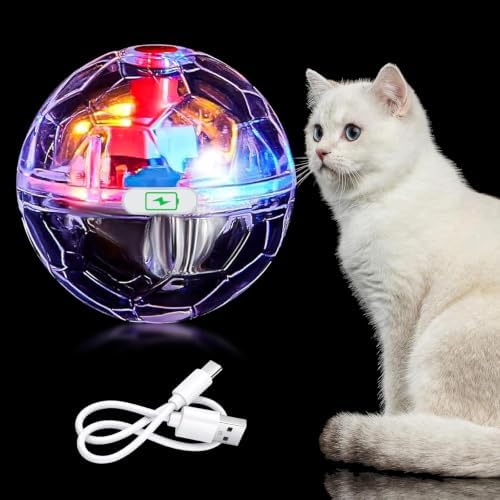 Sratte 1 Pcs Rechargeable Light up Cat Ball Ghost Hunting, Clear