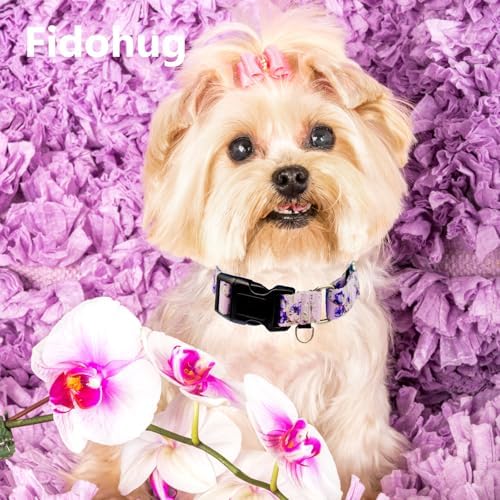 Martingale Collar for Dogs Floral Dog Collars for Small Medium Large Dogs with Buckle Adjustable Soft Nylon Dog Collar (Purple Lily, Small)