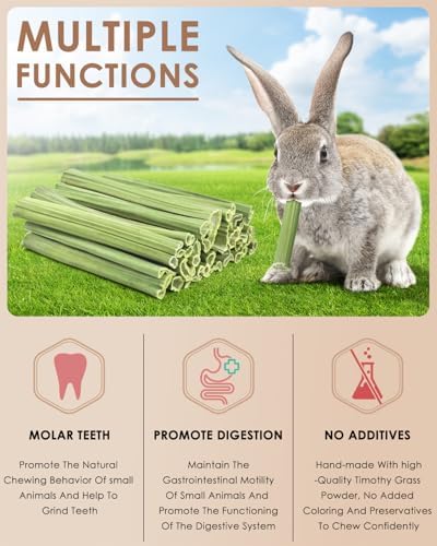 Bissap 35PCS Rabbit Chew Sticks, Natural Papaya Stems Bunny Chews Treats for Rabbit Hamster Chinchilla Guinea Pig Small Animals Organic Molar Chewing Snack