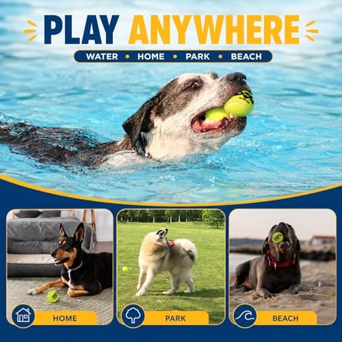 INSUM Tennis Balls for Dogs, 12 Pack Small Medium Dog Toys Balls