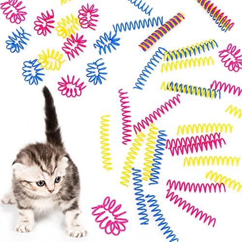 Charniol 60 Pcs Cat Spring Toys for Indoor Cat Kitten, 3 Inch