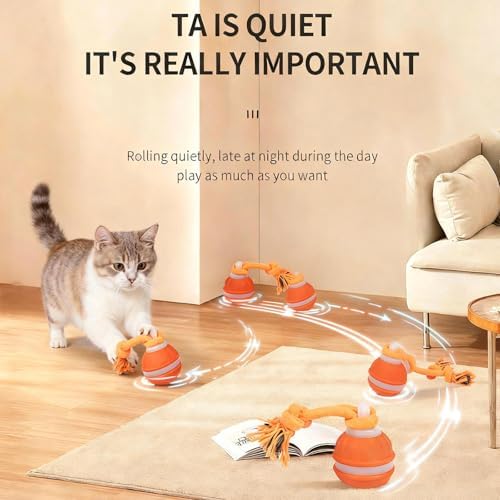Interactive Dog Toys Dog Ball,Automatic Rolling and Bouncing Moving Dog Toy