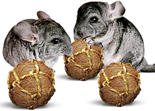 SunGrow Assorted Rabbit & Cat Chew Balls, Teething Activity Toy for Pocket Pets, Improves Dental Health, Environment Friendly, Stress Reliever (Coconut Fiber, 3 Pcs)