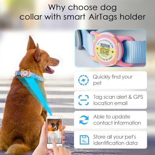 ADVENTUREMORE Airtag Dog Collar with Smart ID QR Code Airtags Holder: Prevents Dogs from Getting Lost at Night, Displays Owner and Pet Details. Waterproof, Durable, Adjustable, Thick-Teal-Small