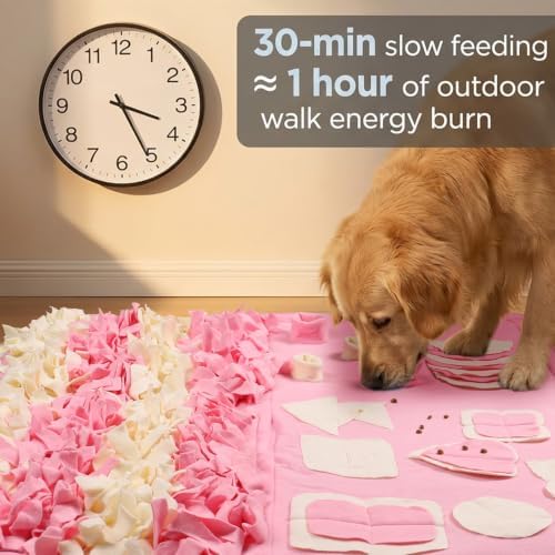 Snuffle Mat for Dogs: Slow Food Interactive Experience