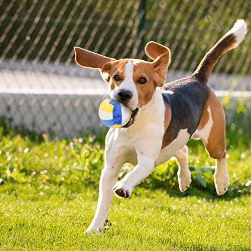 Interactive Dog Balls, 2 Pack Plush Squeaky Dog Toys Balls for Dogs, Football Volleyball Dog Toy Ball Indoor Outdoor Sports Stuffed Puppy Toy for Small Medium Dog(Football+Volleyball)