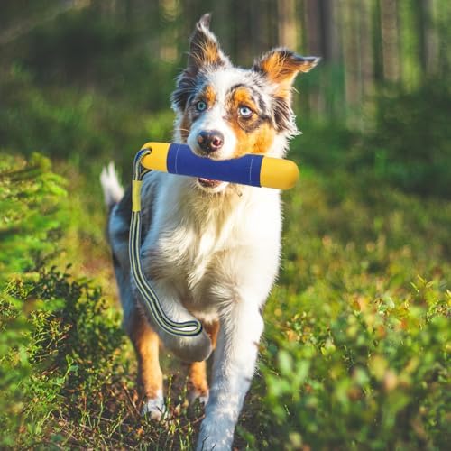 Dog Pool Toys Float on Water, Interactive Fetch Toy for Training Retrieving Bumper Outdoor Backyard Summer 2 Pack