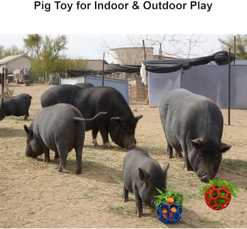 2Pcs Pig Enrichment Toys, Treat Ball Toy for Mini Pigs and Farm, Hanging Chew Ball Enrichment Toy with Rope for Pigs to Play with