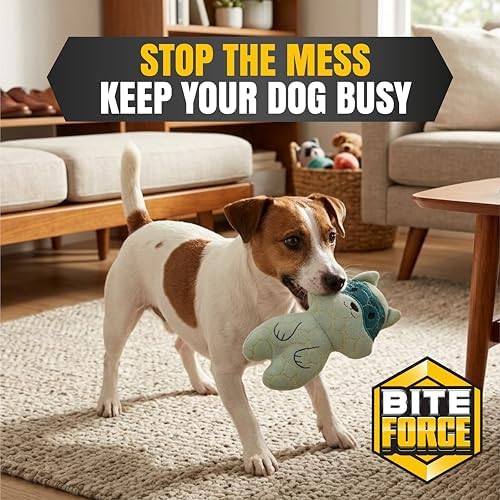 Bite Force - Durable & Strong Dog Toy Racoon with Squeaker, Kevlar-Reinforced Seams for Aggressive Chewers, Plush Pet Toy for Small Medium Large Dogs