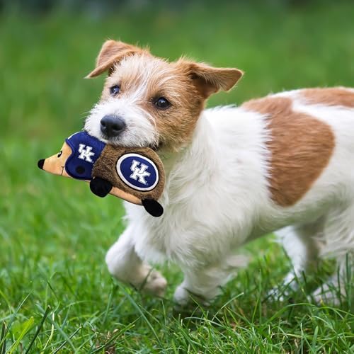 NCAA Kentucky Wildcats Plush Hedgehog Toy for Dogs & Cats, Cool Soft Pet Toy for Fun and Interactive Play, Dog Chew Toy with Squeaker, Licensed Hot Pet Toy