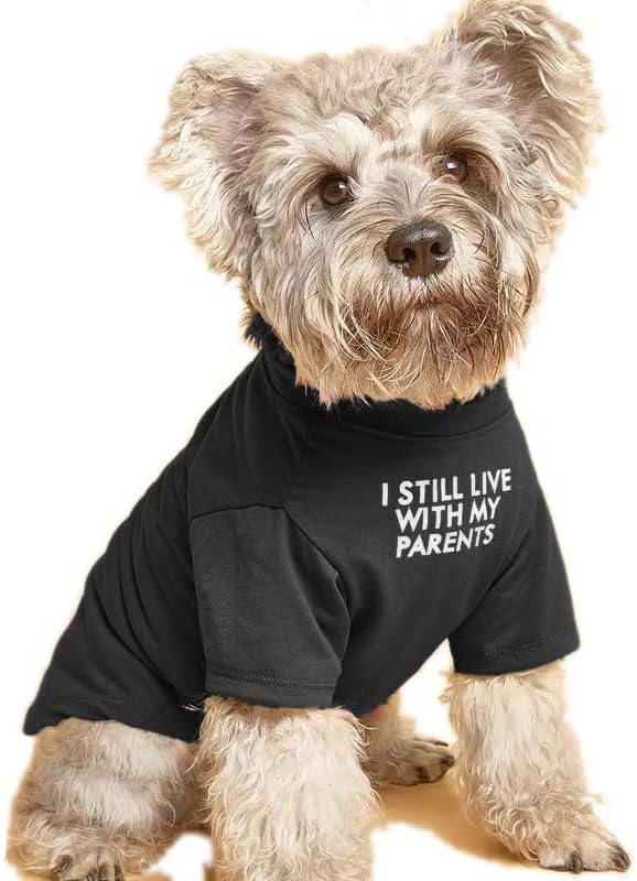 Cute Dog Clothes, T Shirt for Medium and Small Dogs Girl Boy,Puppy.Breathable Soft Dog Costume for Pet Dogs Cats, Pet Pullover Jumper, Cat Clothes (S-(4~8lb), Chest~14",Black, Parents