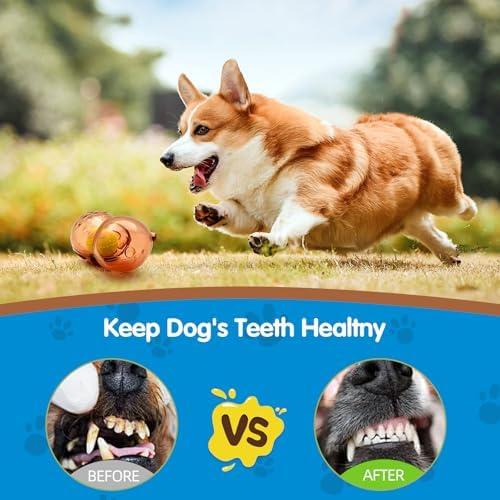 Tough Dog Chew Toy for Small, Medium Breeds Ball in Bottle Strong Rubber Treat Dispensing Toy Cute Interactive Slow Feeder Dog Fetch Toys (Purple)