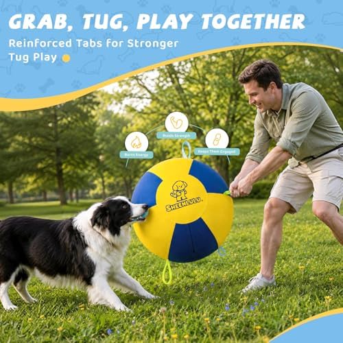 22" Herding Ball for Dogs with Straps & Training Whistle