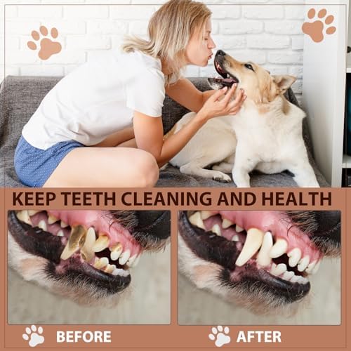 Letsmeet Squeaky Dog Toy with Crinkle Paper, Pull Interactive Plush Chew Toy for Puppies, Small, Medium, Large Dogs - Great for Tug of War and Teeth Cleaning