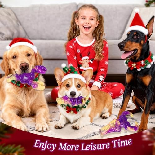 Indestructible Dog Toys for Aggressive Chewers, Tough Dog Toys for Large Dogs, Durable Dog Chew Toys to Keep Them Busy, Interactive Aggressive Chew Toys for Medium Dogs, Beef Flavor (B-Lobster)