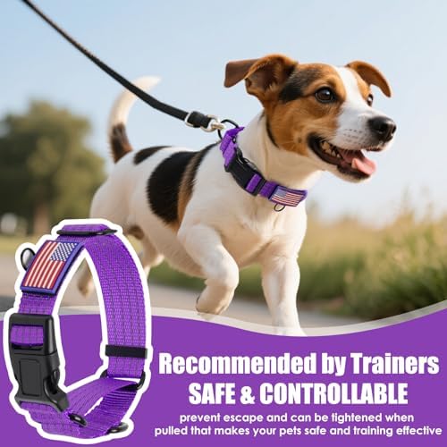 Martingale Dog Collar Reflective NO Pull with USA Flag, L,Purple