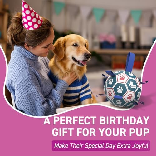 QDAN Large Dog Toys, 8 Inch Durable Balls for Dogs, Soccer Ball with Straps