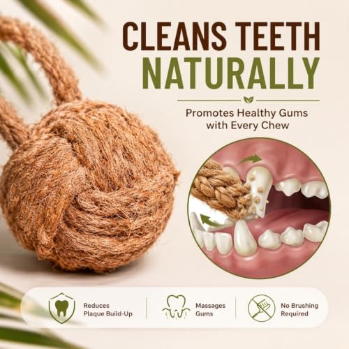 Canophera COCOBall Dog Chew Toy – Natural Coconut Fiber Ball with Cotton Rope, Durable Interactive Chew, Tug & Fetch Toy for Medium, Supports Dental Health & Boredom Relief