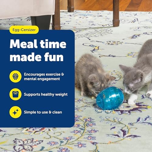PetSafe Egg-Cersizer Interactive Cat Slow Feeder Toy | Kibble and Treat-Dispensing Cat Toy for Portion Control and Fast Eaters, Improves Digestion, Enrichment Exercise